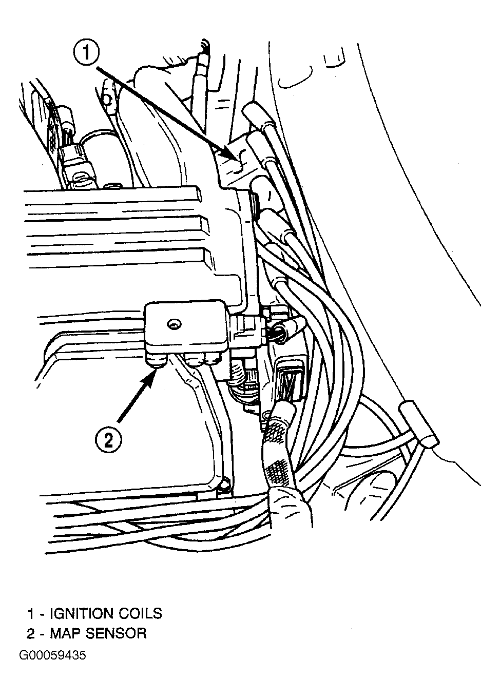 G00059435
