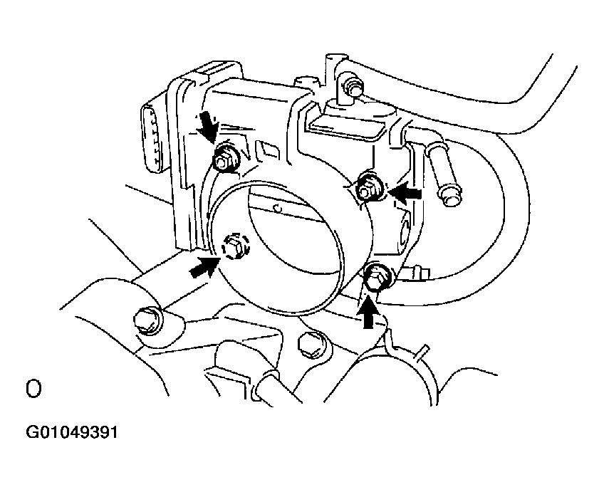 G01049391