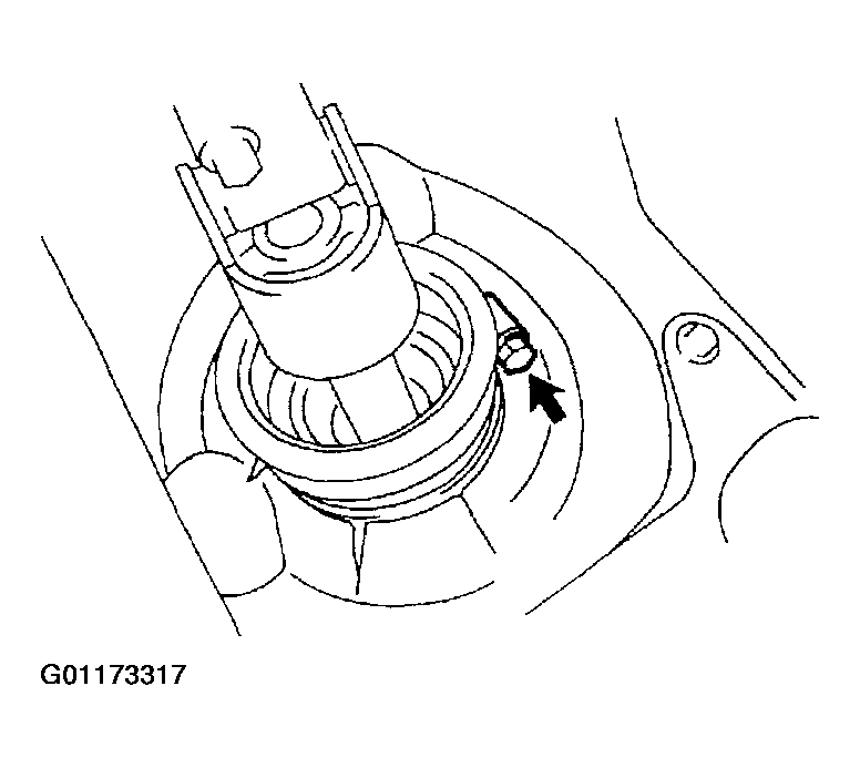 G01173317