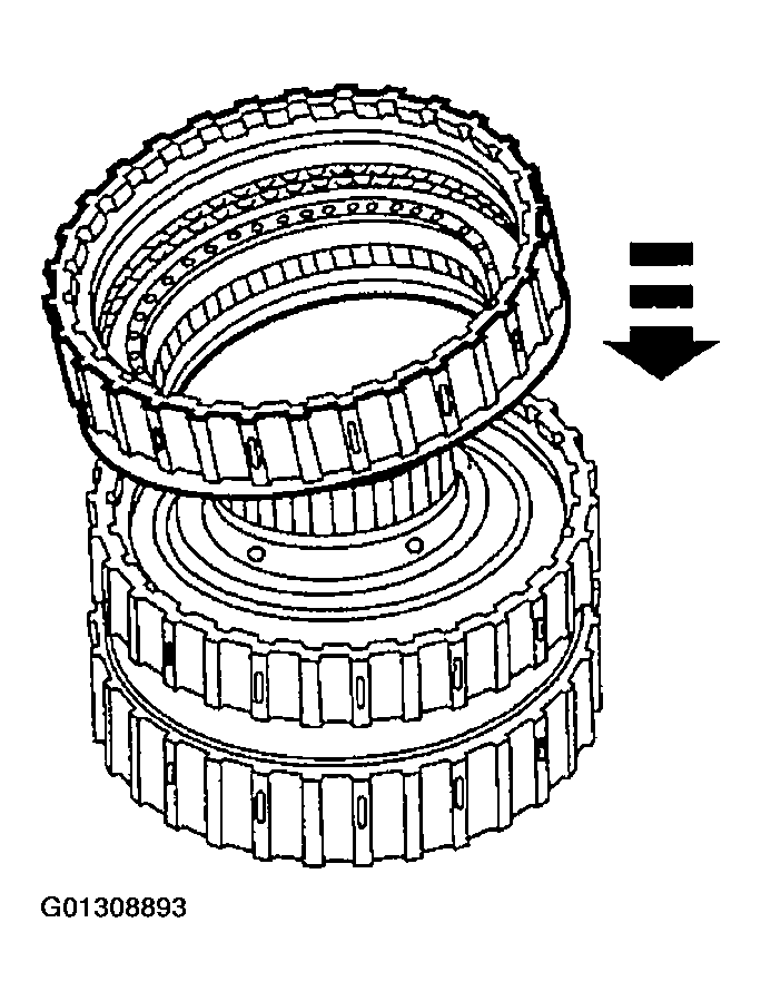G01308893