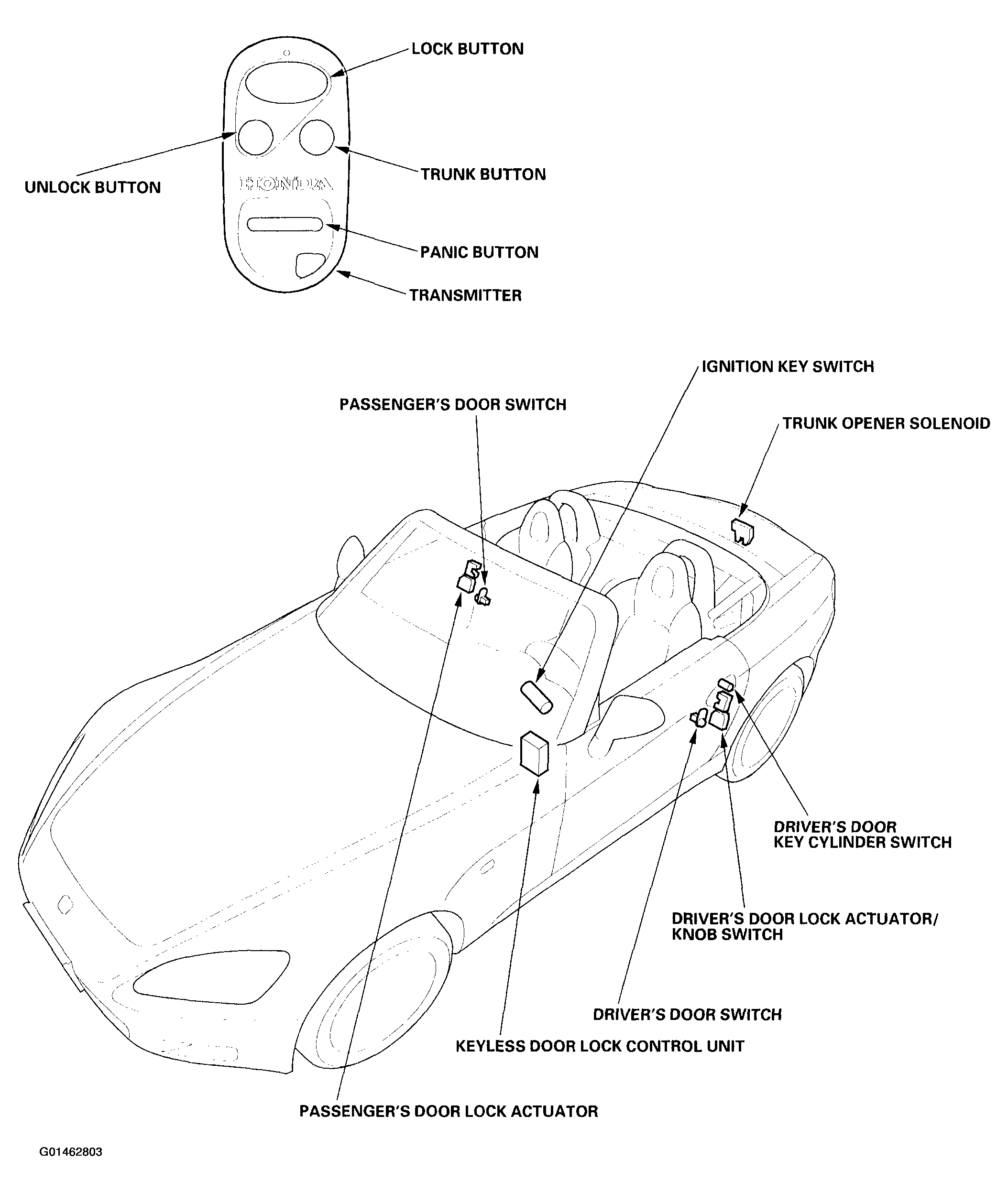 G01462803