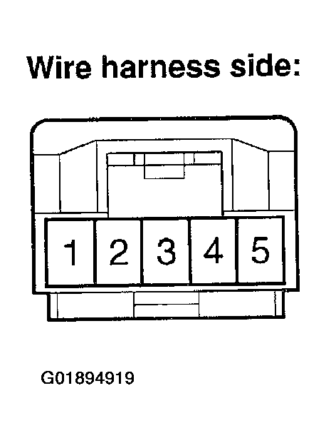 G01894919