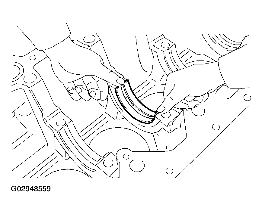 G02948559