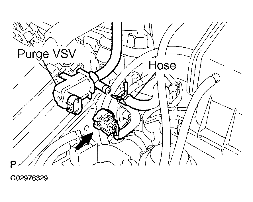 G02976329