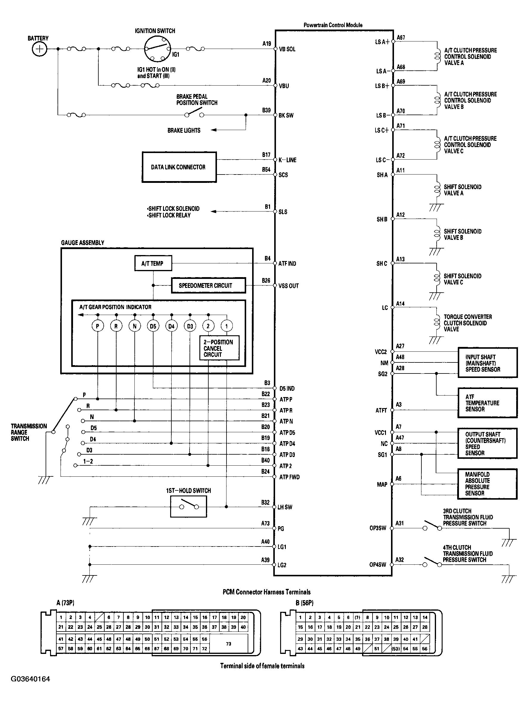 G03640164
