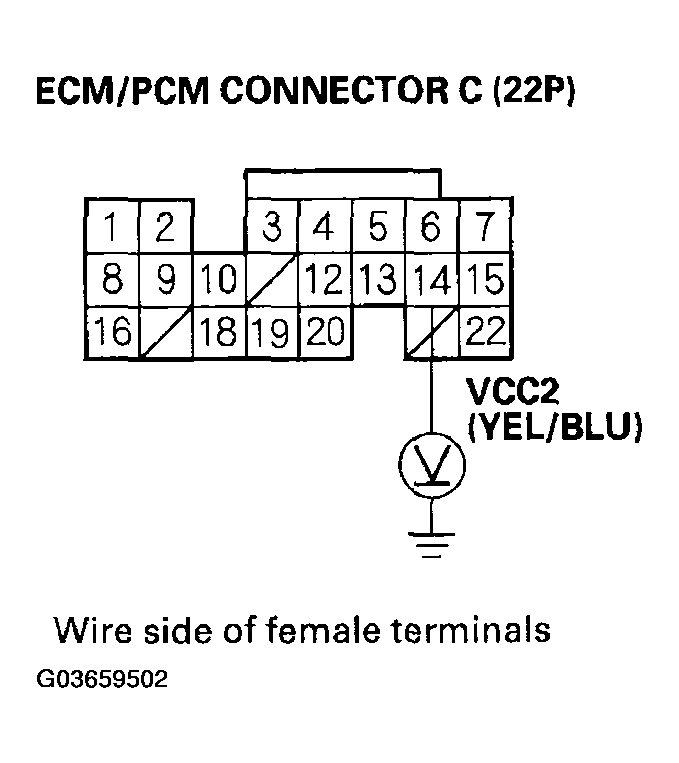 G03659502