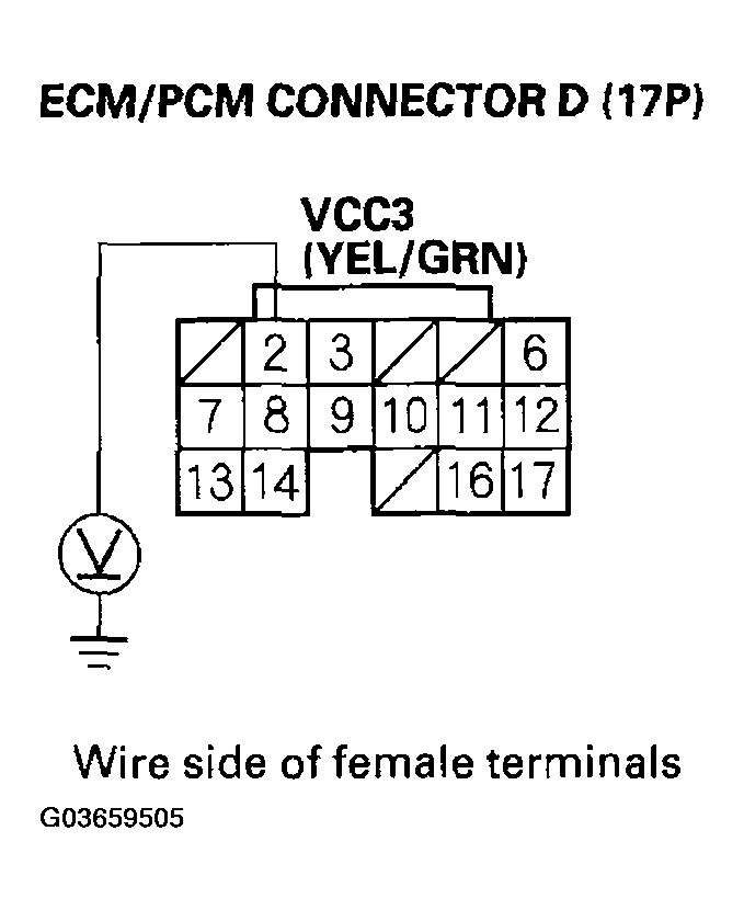 G03659505