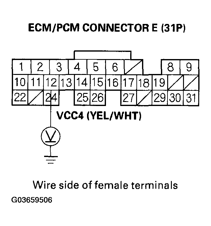 G03659506