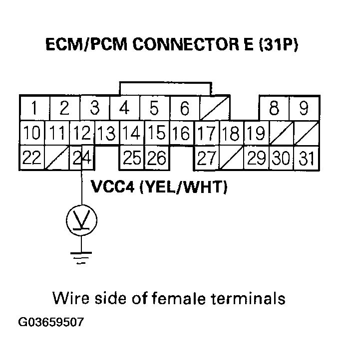G03659507