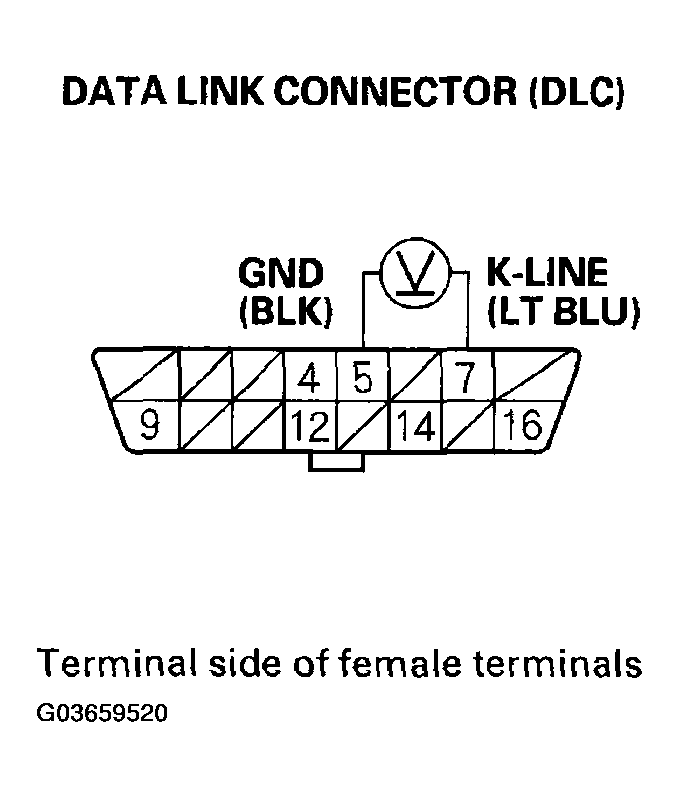 G03659520