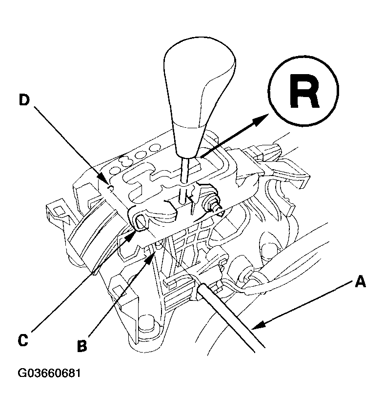 G03660681