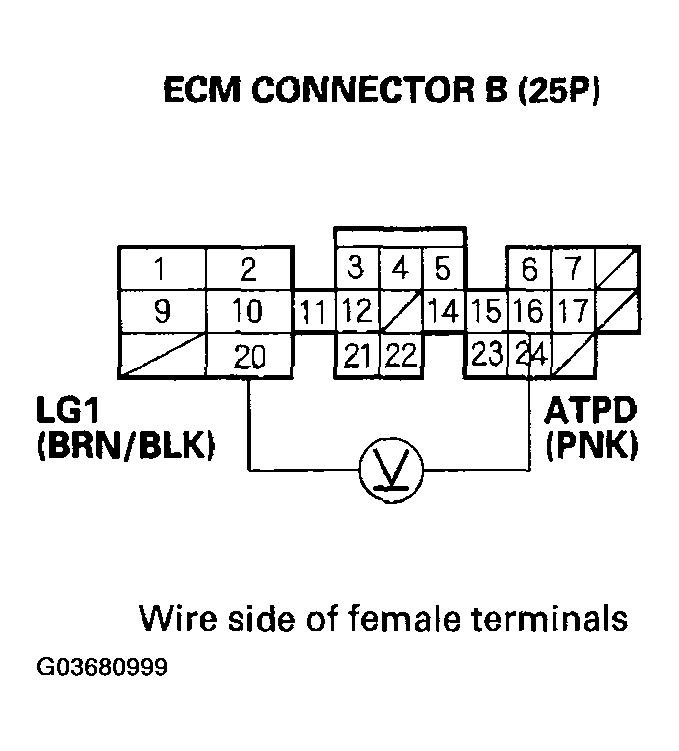 G03680999