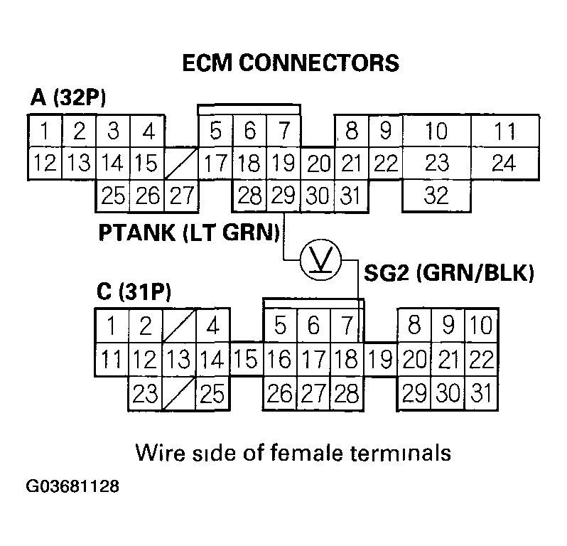 G03681128