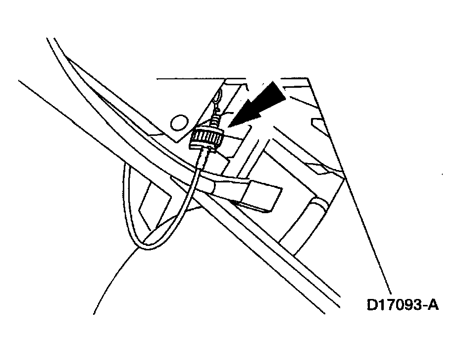 G03909505