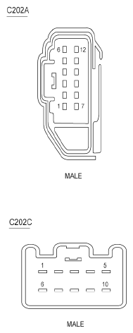 G06376242