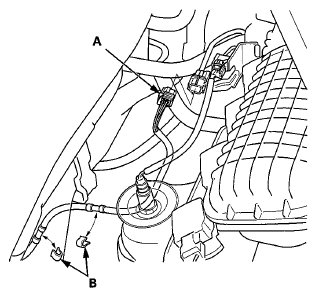 G06428810