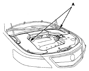 G08067215