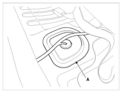 G09885934