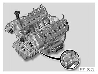 G10144610
