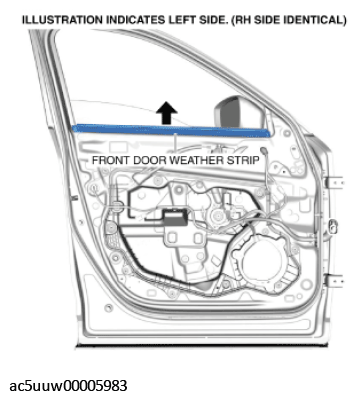 G11427641
