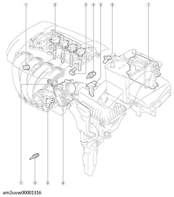 G11435589