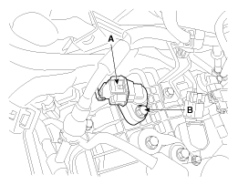 G11802894