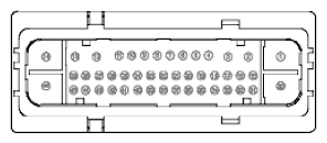 G11915485