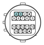 G12180442