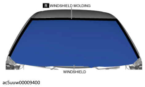 G12183842