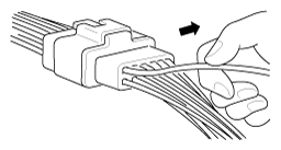 G12239055