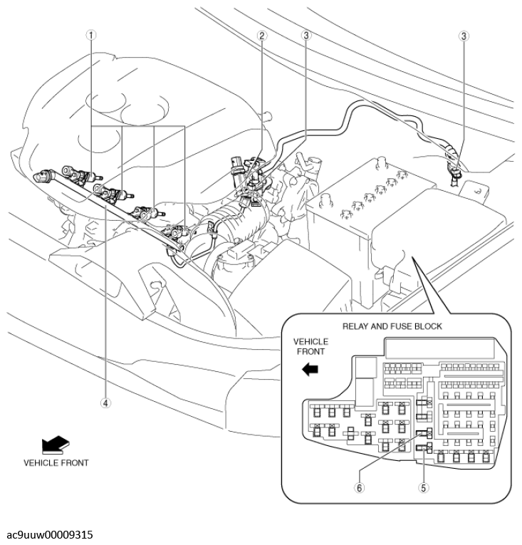 G12244348