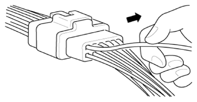 G12696070