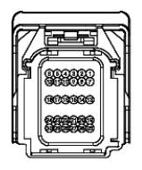 G12970691