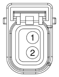 G13283794