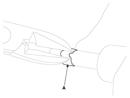 G13310069