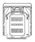 G13402549