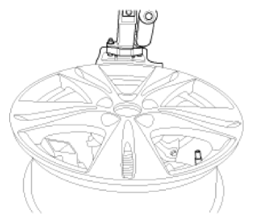 G13540599