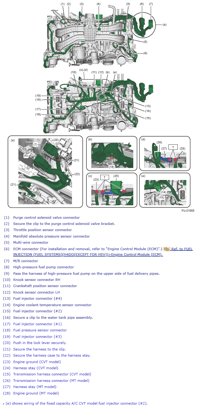 G13600091