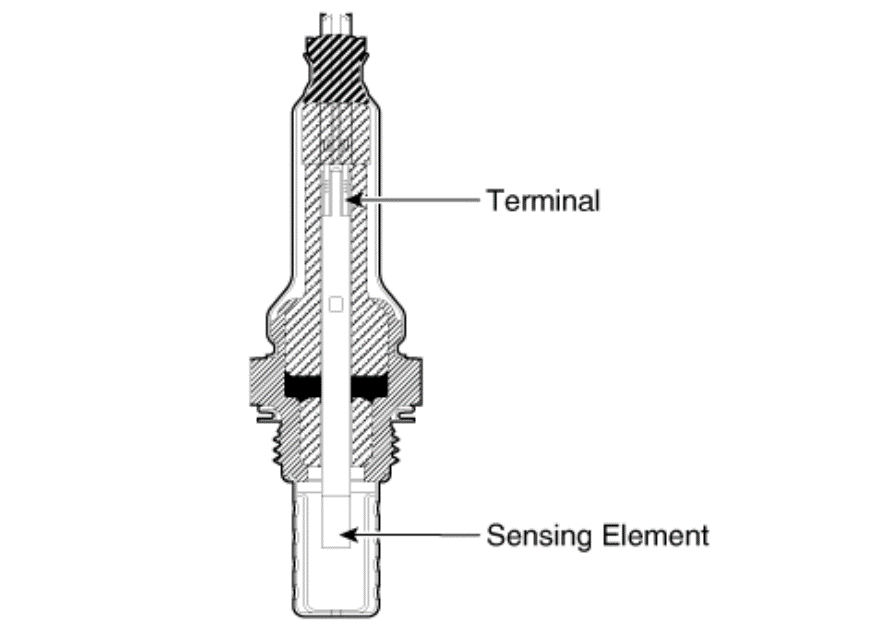 G15694542