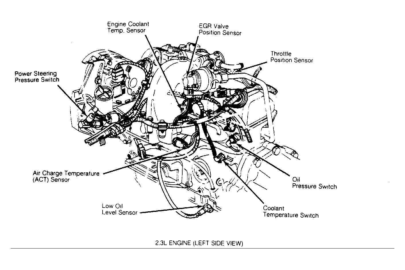 G53817