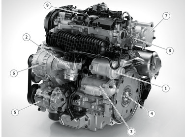 GLL1031409